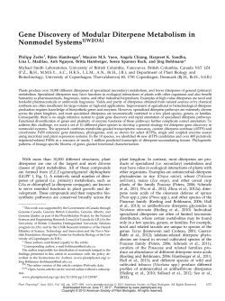 Gene Discovery of Modular Diterpene