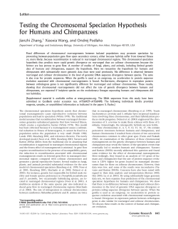 Testing the Chromosomal Speciation Hypothesis for Humans and