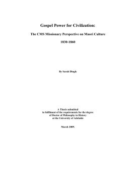 Gospel Power for Civilization: The CMS Missionary Perspective on