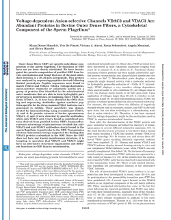 The Journal Of Biological Chemistry (2004) 279