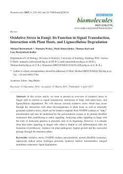Oxidative Stress in Fungi: Its Function in Signal Transduction