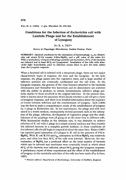 Conditions for the Infection of Escherichia coli with