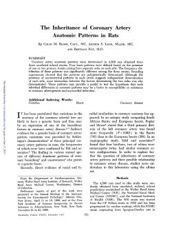 The Inheritance of Coronary Artery Anatomic Patterns in