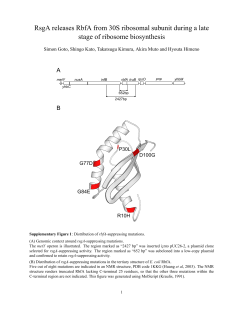 Supplementary information