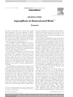 Aspergillosis in Domesticated Birds