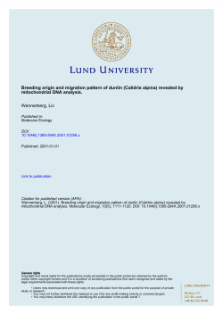 Breeding origin and migration pattern of dunlin