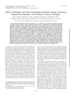 Effects of Mutagenic and Chain-Terminating Nucleotide Analogs on