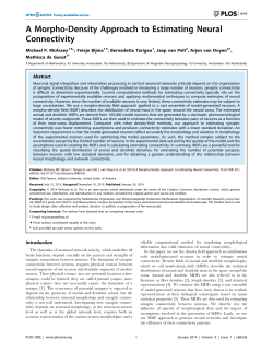 A morpho-density approach to estimating neural connectivity (2014)