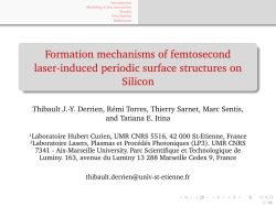 Formation mechanisms of femtosecond laser