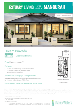 Dream Bravado - Osprey Waters