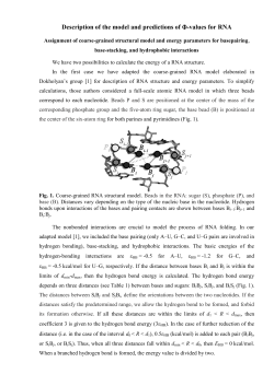 Description of the model and predictions of Φ