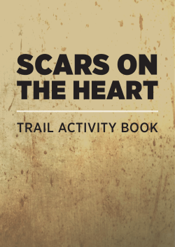 trail activity book