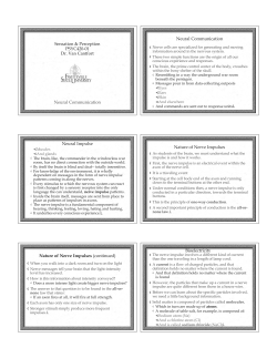 D:\Presentation10\Perception\neural communication.shw