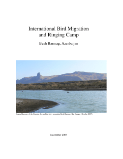 International Bird Migration and Ringing Camp - PR