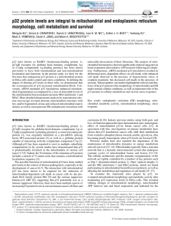 p32 protein levels are integral to mitochondrial and endoplasmic