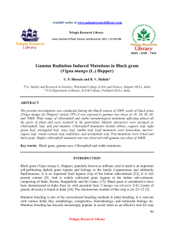 Gamma Radiation Induced Mutations in Black gram