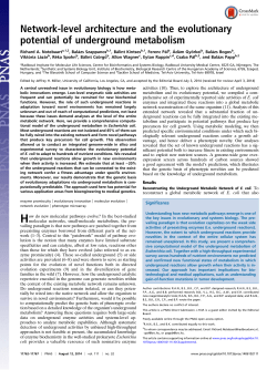 Network-level architecture and the evolutionary potential of