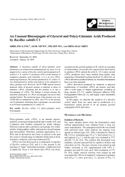 An Unusual Bioconjugate of Glycerol and Poly(&gamma;