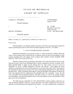 COA 331080 TAMARA A WINDMILL V KEITH P WINDMILL Opinion