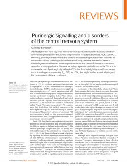 Purinergic signalling and disorders of the central nervous system