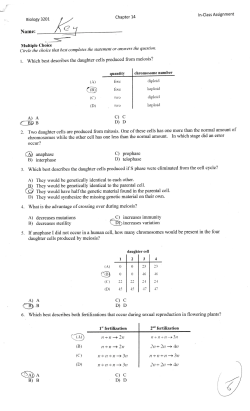 In-Class Assignment Ans Key File