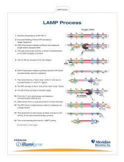 LAMP Process - Meridian Bioscience, Inc.