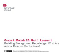 Grade 4: Module 2B: Unit 1: Lesson 1 Building