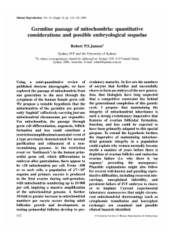 Germline passage of mitochondria: quantitative considerations and