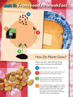 Unit 2: From seed to breakfast