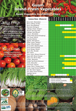 Guam Vegetable Seasonality Poster