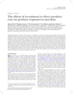 The effects of recruitment to direct predator cues