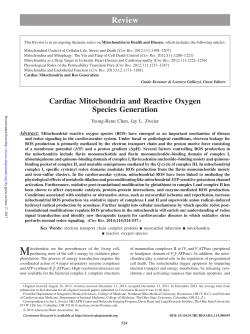 Cardiac Mitochondria and Reactive Oxygen Species Generation