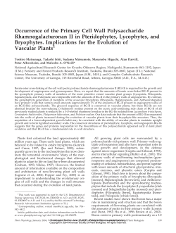 Occurrence of the Primary Cell Wall