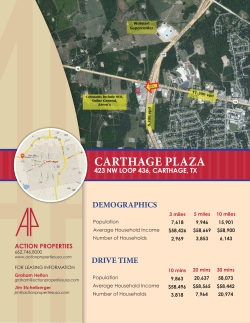 CARTHAGE PLAZA - Action Properties