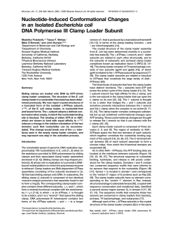 Nucleotide-Induced Conformational Changes in an Isolated