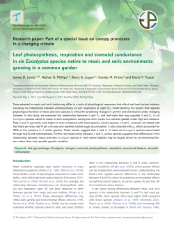 Leaf photosynthesis, respiration and stomatal