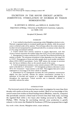 excretion in the house cricket (acheta domesticus): stimulation of
