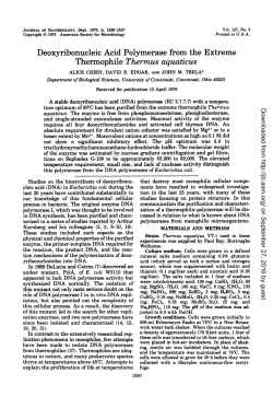 Thermophile Thermus aquaticus