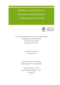 Mechanisms and Kinetics of Exocytosis and Endocytosis