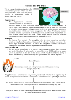 Trauma and the Brain