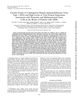 HIV DNA Circles in the Brain - Workspace