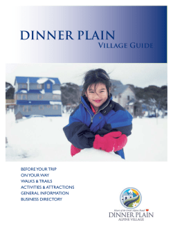 dinner plain - Alpine Shire
