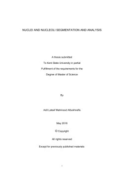 NUCLEI AND NUCLEOLI SEGMENTATION AND ANALYSIS