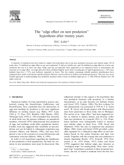 The ``edge effect on nest predation`` hypothesis after twenty years