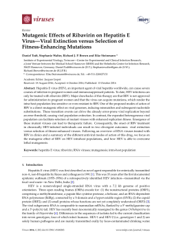 Mutagenic Effects of Ribavirin on Hepatitis E Virus&mdash;Viral Extinction