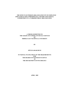 the effects of person-organization fit on employee