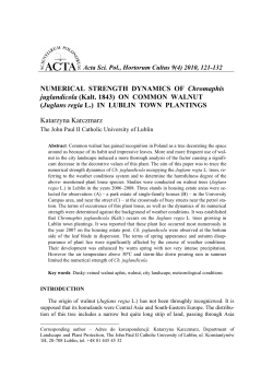 NUMERICAL STRENGTH DYNAMICS OF Chromaphis juglandicola