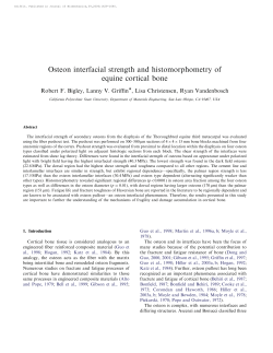 Osteon interfacial strength and histomorphometry of equine cortical