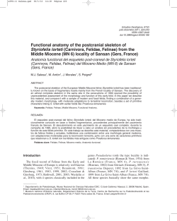 Anatom&iacute;a functional del esqueleto post