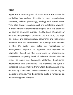 Haplobiontic life cycle